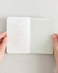 Baby Passport on a themed background