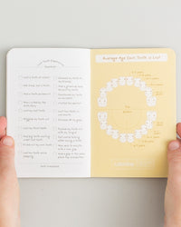 Kids Tooth Passport on a themed background