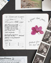 Date Passport on a themed background