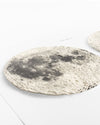 Terrain Map of the Moon