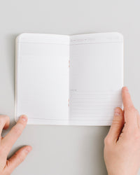 Everyday Meeting Notes on a themed background