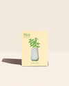 Herb Grow Kit in Mint on a cream background