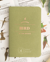 Letterfolk Passport Collection Trio: Fishing Trip, Bird, Campground