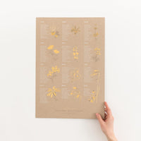 Seasonal Wildflowers Print - Letterfolk